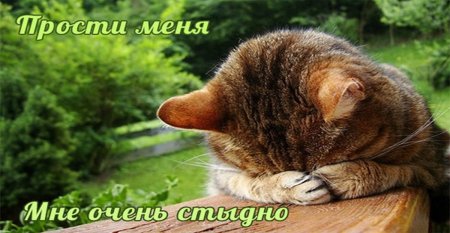 Прости картинки