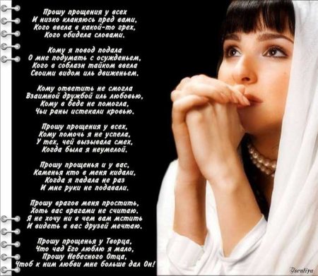 Стихи с извинениями