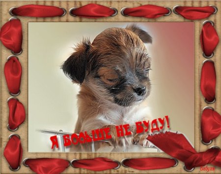 Открытка извини меня