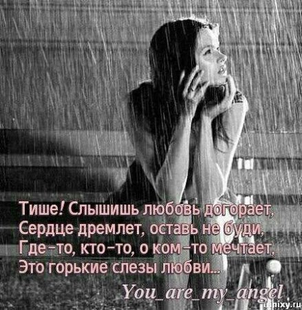 Прости за любовь цитаты