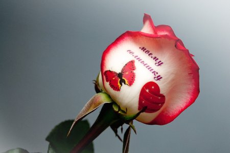 Надписи на цветах