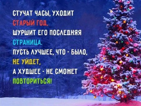 Елка в снегу