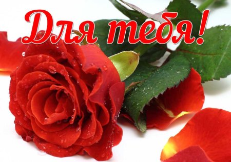 Красивые комплименты девушке