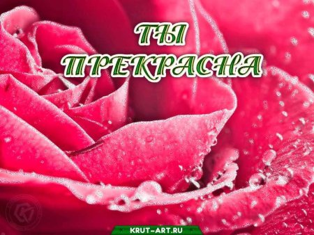 Открытки с комплиментами девушке