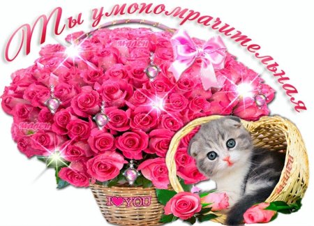 Цветы для красоточки