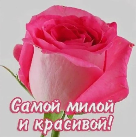 Самой милой и красивой
