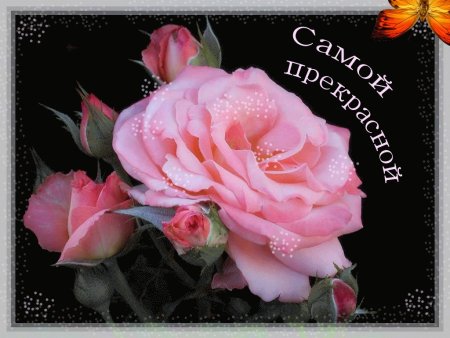 Цветы для самой прекрасной