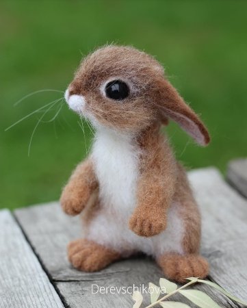 Милые звери