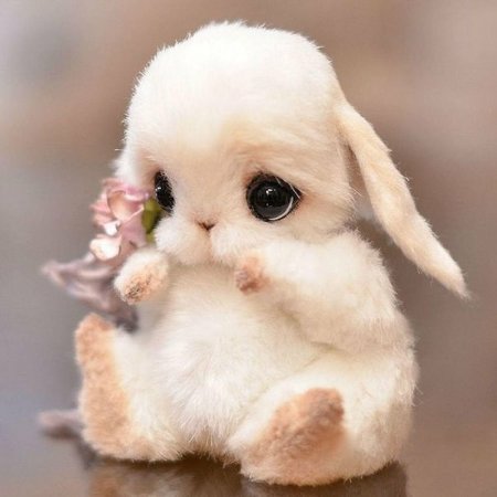 Самые милые зайчики