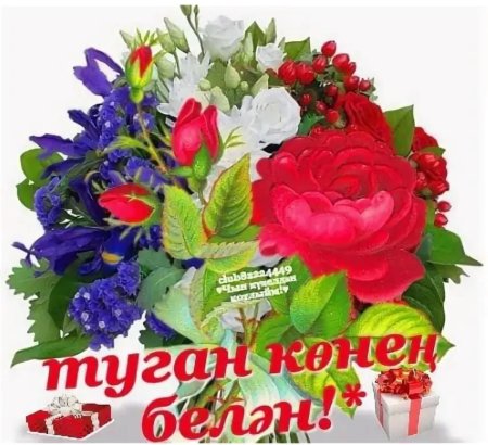 Наиля туган конен