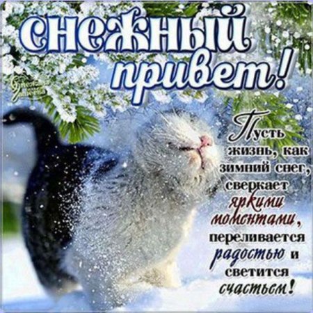 Зимний привет