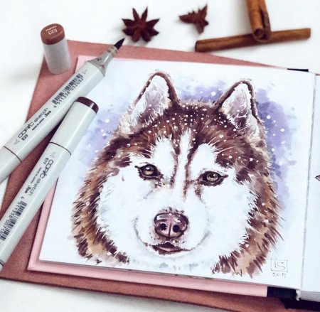 Собака маркерами для скетчинга