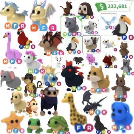 Петы в адопте