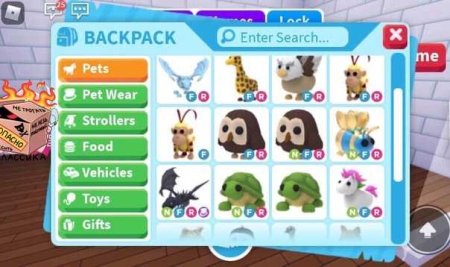 Стар петс адопт ми