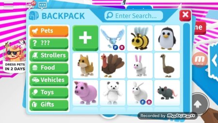 Петы в допт ми