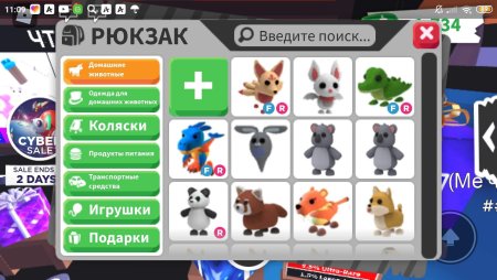 Инвентарь петов в адопт