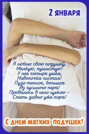 День мягких подушек