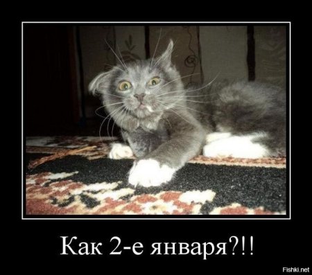 Шутки про второе января