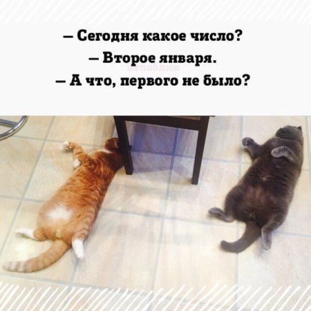 Сегодня второе января первого не было