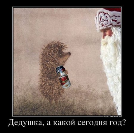 Демотиваторы после нового года
