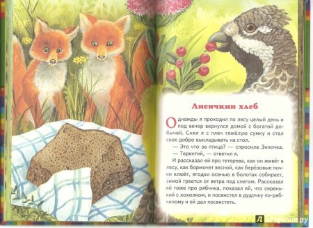 Иллюстрации к рассказу м Пришвина Лисичкин хлеб