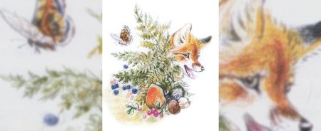 Пришвин Лисичкин хлеб