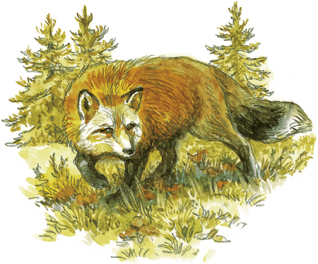 Пришвин Лисичкин хлеб