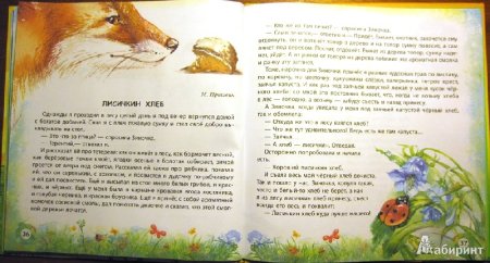 Рассказ Пришвина Лисичкин хлеб