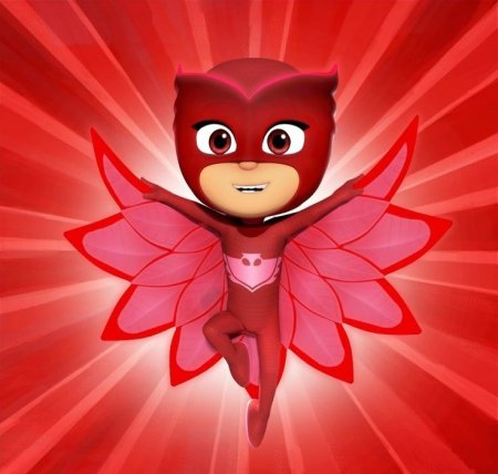 Герои в масках Амайя и Ромео