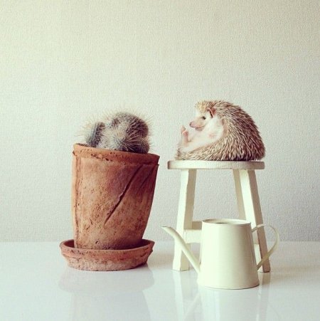 Утро понедельника