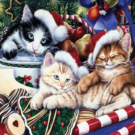 Дженни Ньюлэнд (Jenny Newland)