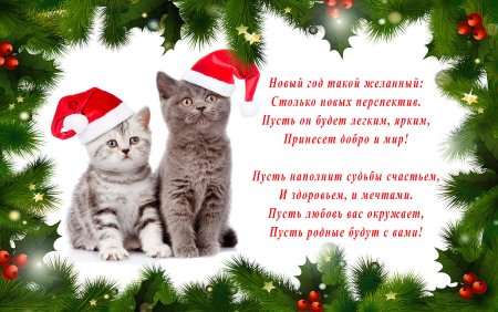 Новогодние открытки с котиками