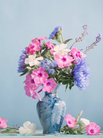 Летние цветы в вазе