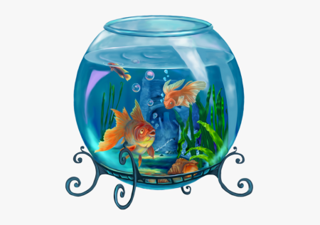 Рыбки для аквариума