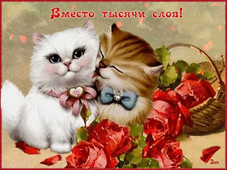 Добрый день милый