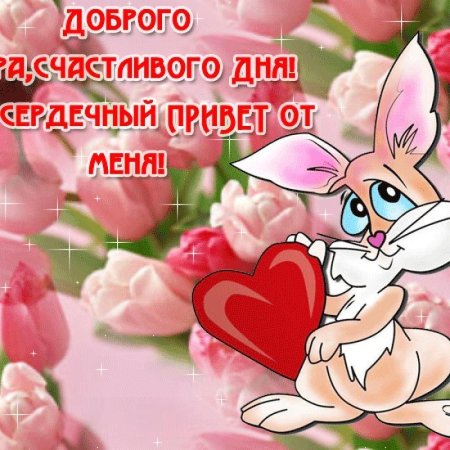 Хорошего дня любимому