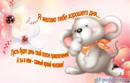 Хорошего дня и настроения любимый