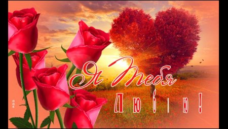 Я тебя люблю цветы