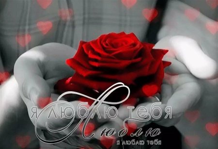 Гифки я тебя люблю