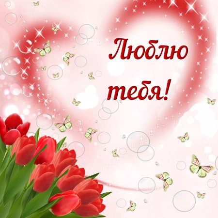 Я тебя люблю