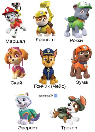 Как зовут героев Щенячьего патруля