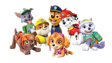 Paw Patrol Patroller
