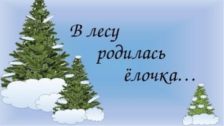 В лесу родилась ёлочка