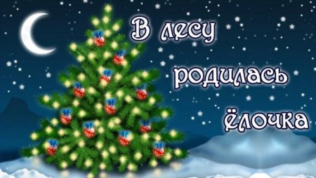 В лесу родилась ёлочка