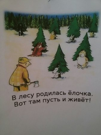 Постер в лесу родилась елочка