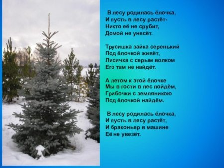 Родилась елочка в лесу она росла