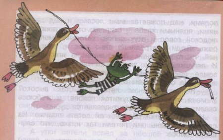 Гаршин лягушка-путешественница иллюстрации