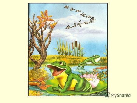 Иллюстрация к сказке в.м.Гаршин лягушка путешественница