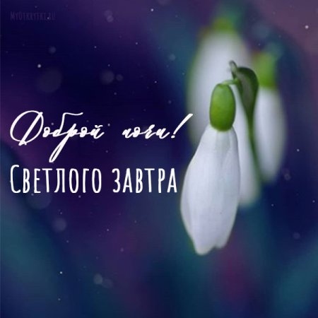 Доброй ночи и светлого завтра