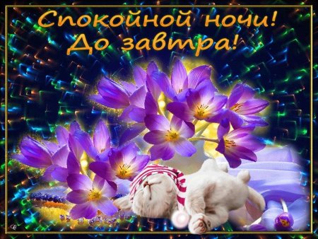 Открытки спокойной ночи